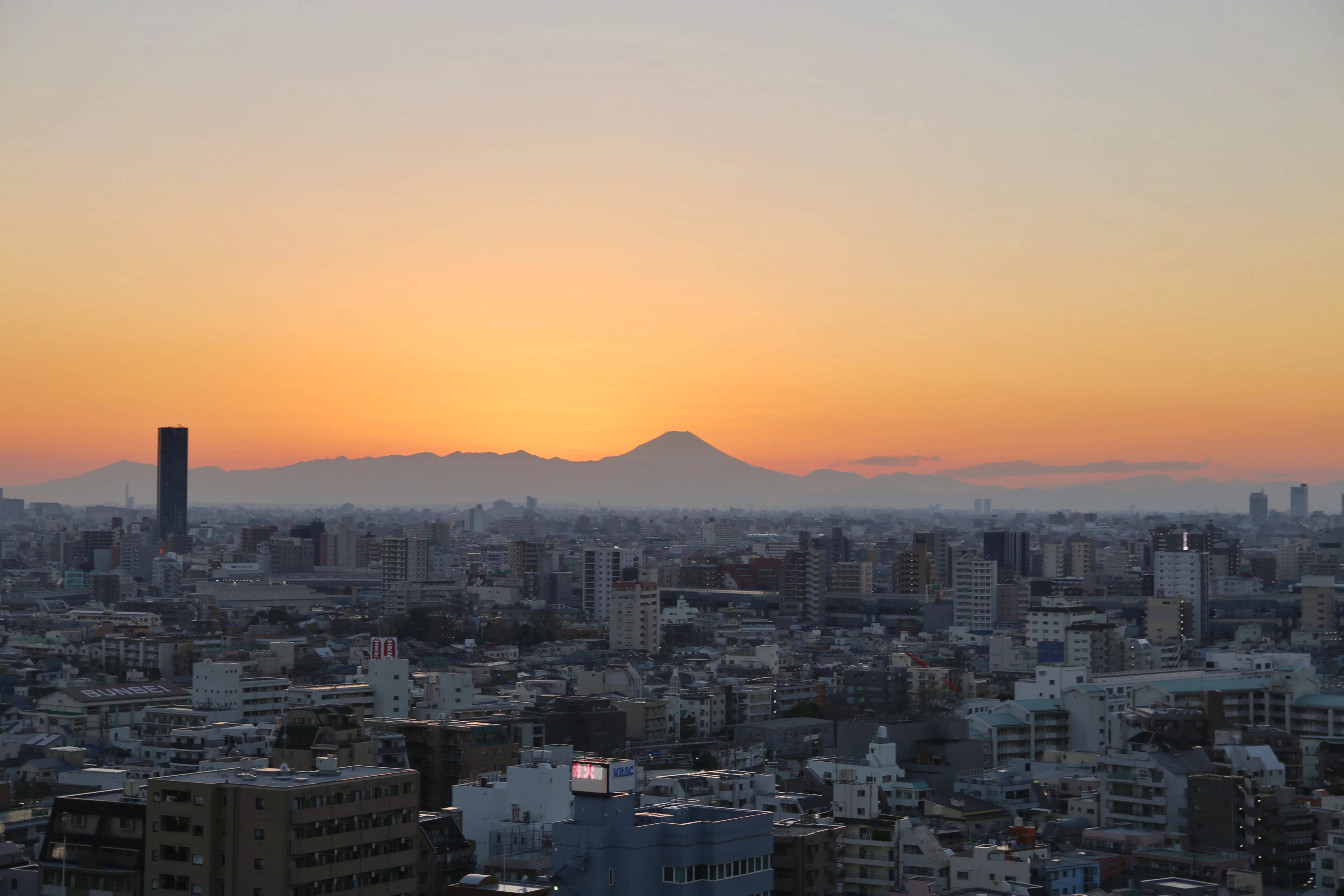 都心ラグジュアリー ペントハウス 2BR